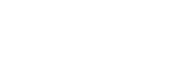 Animation réseau